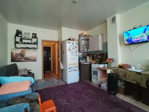 Студия Алтайский край, Бийск Социалистическая ул., 22 (28.5 м)