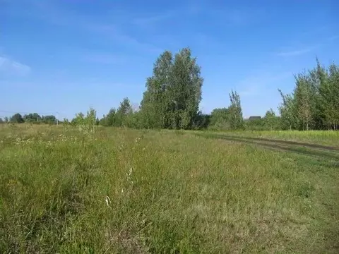 Участок в Курганская область, Кетовский муниципальный округ, Поповская ...