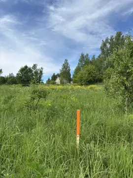 Участок в Ярославская область, Некрасовский муниципальный округ, д. ...