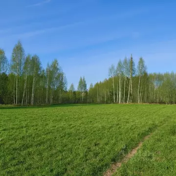 Участок в Московская область, Рузский муниципальный округ, д. Лобково ...