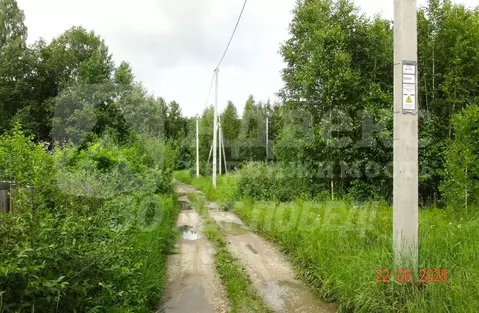 Участок в Тюменская область, Нижнетавдинский район, Лебедушка СПК ул. ...