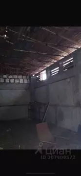 Помещение свободного назначения в Самарская область, Ставропольский ...