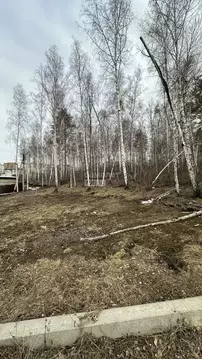 Участок в Иркутская область, Иркутский муниципальный округ, Маркова ...