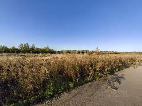 Участок в Ростовская область, Аксай ул. Кутузова (6.0 сот.)