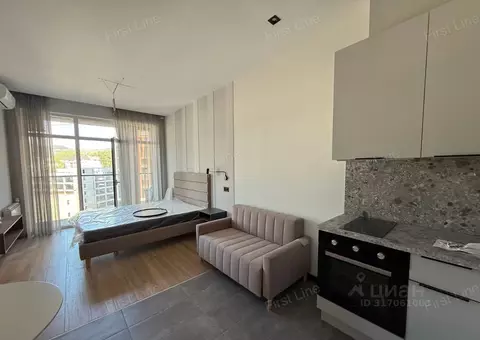 Студия Краснодарский край, Сочи городской округ, Дагомыс пгт ш. ...