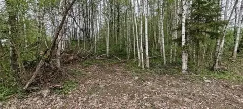 Участок в Московская область, Руза  (7.73 сот.)