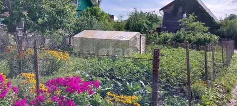 Участок в Псковская область, Печоры ул. Эдуарда Верховича, 2 (3.1 ...