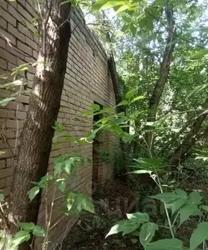 Помещение свободного назначения в Смоленская область, с. Темкино ул. ...