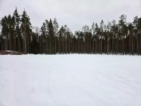 Участок в Ленинградская область, Выборгский район, пос. Поляны  (12.0 ...