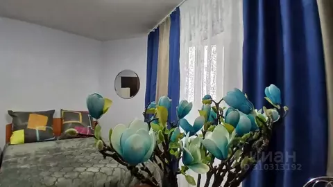 Студия Пермский край, Пермь ул. Советской Армии, 60 (30.0 м)