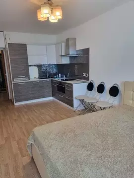 Студия Санкт-Петербург Мебельная ул., 35к2 (24.0 м)