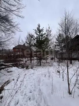 Участок в Воронежская область, Воронеж ул. Туровская (15.0 сот.)