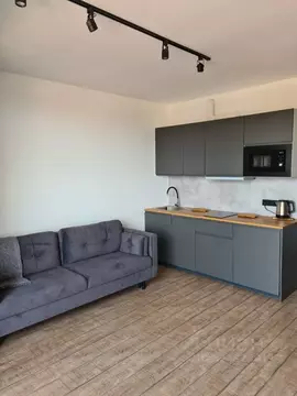 2-к кв. Краснодарский край, Сочи Центральный мкр, ул. Роз, 36 (42.0 м)