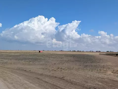 Участок в Крым, Черноморский район, с. Межводное  (6.0 сот.)
