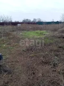 Участок в Саратовская область, Энгельсский район, Терновское ...