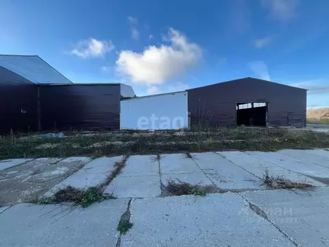 Помещение свободного назначения в Владимирская область, Муром с. ...