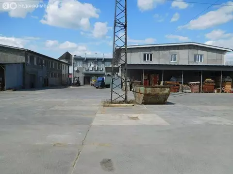 Торговая площадь (250 м)