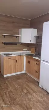 1-к кв. Новосибирская область, Новосибирск Киевская ул., 23 (33.0 м)