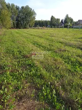 Участок в Тюменская область, Тюмень Энергостроитель СНТ, ул. Рябинушка ...