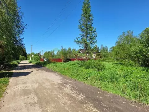 Участок в Ленинградская область, Гатчинский район, Дружная Горка ...