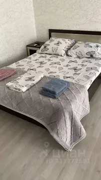 1-к кв. Рязанская область, Рязань ул. Чапаева, 15 (30.0 м)