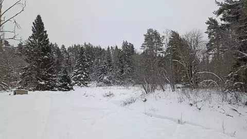 Участок в Ленинградская область, Выборгский район, пос. Первомайское  ...