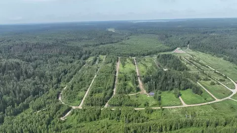 Участок в Ленинградская область, Приозерский район, Раздольевское ...