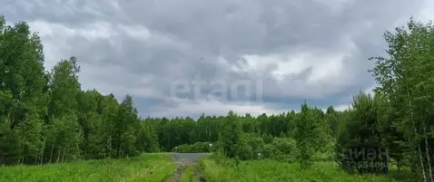 Участок в Тюменская область, Тюменский муниципальный округ, с. ...