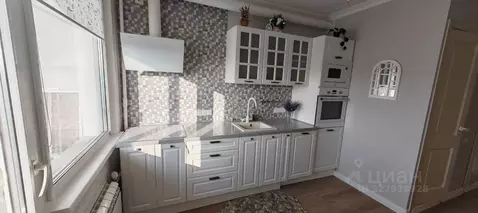 2-к кв. Санкт-Петербург просп. Энтузиастов, 31к3 (64.8 м)