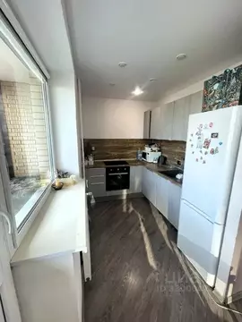 Студия Санкт-Петербург пос. Парголово, ул. Федора Абрамова, 8 (29.4 м)