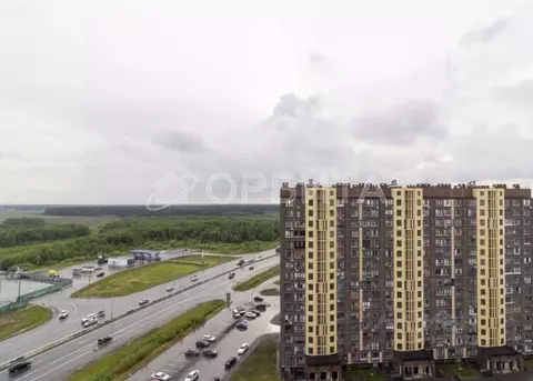 Студия Тюменская область, Тюмень ул. Новоселов, 115 (15.7 м)