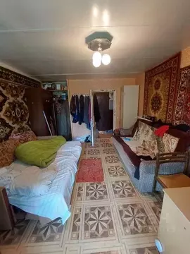 1-к кв. Калужская область, Боровский муниципальный округ, Кривское ...