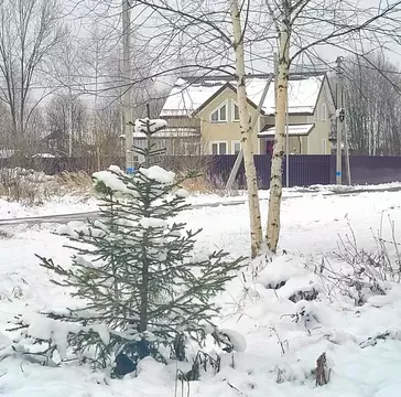 Участок в Московская область, Дмитровский муниципальный округ, пос. ...