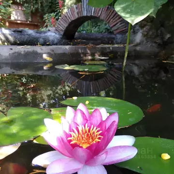 Участок в Ростовская область, Азовский район, Поселок Красный сад ул. ...