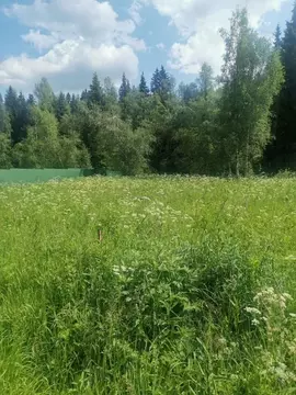 Участок в Московская область, Дмитровский муниципальный округ, Лесная ...