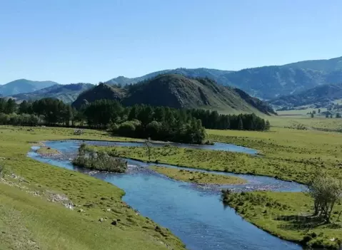 Дом в Алтай, Усть-Коксинский район, с. Верх-Уймон  (65 м)