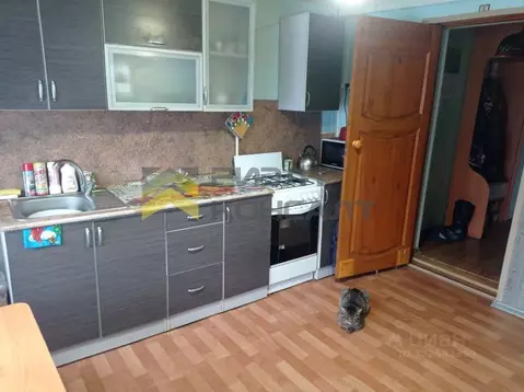 Дом в Омская область, Омск Чередовый мкр, ул. Рижская (45 м)