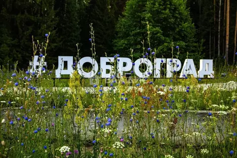 Участок в Владимирская область, Ковровский район, Доброград ...