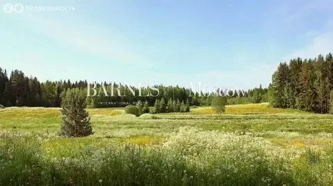 Участок в Одинцовский городской округ, КП Бузаево (15 м)