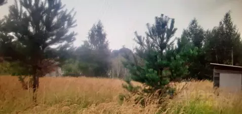 Участок в Воронежская область, Рамонский район, Горожанское с/пос, ...