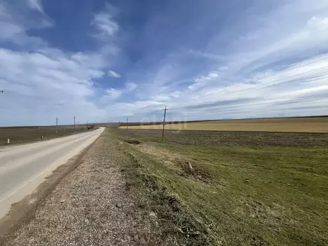 Участок в Крым, Сакский район, Ореховское с/пос, с. Червоное  (32.02 ...