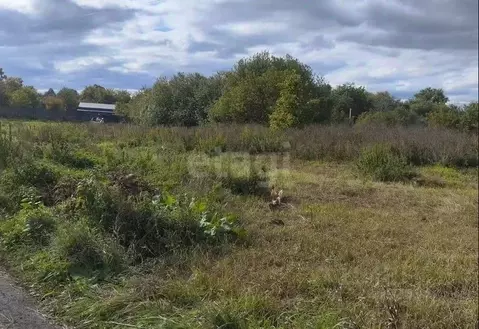 Участок в Башкортостан, Кармаскалинский район, Подлубовский сельсовет, ...