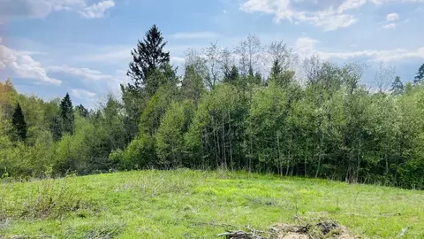 Участок в Московская область, Пушкинский городской округ, с. Ельдигино ...