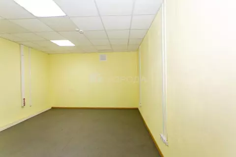 Офис в Новосибирская область, Новосибирск ул. Петухова, 35/2 (22 м)