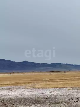 Участок в Алтай, с. Кош-Агач пл. Ленина (3347.06 сот.)