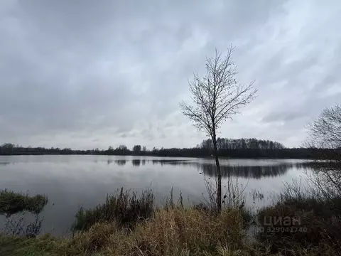 Участок в Костромская область, Костромской район, Сущевское с/пос, д. ...