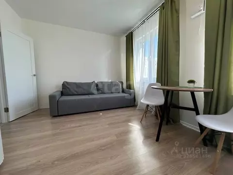 Студия Ленинградская область, Всеволожское городское поселение, пос. ...