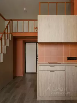 Студия Санкт-Петербург Полтавская ул., 10 (24.0 м)