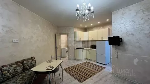 Студия Московская область, Богородский городской округ, д. Новая ...