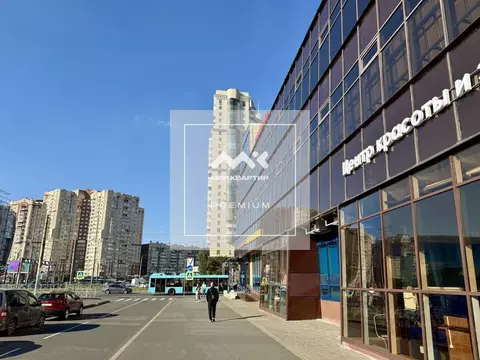 Помещение свободного назначения в Санкт-Петербург просп. Испытателей, ...